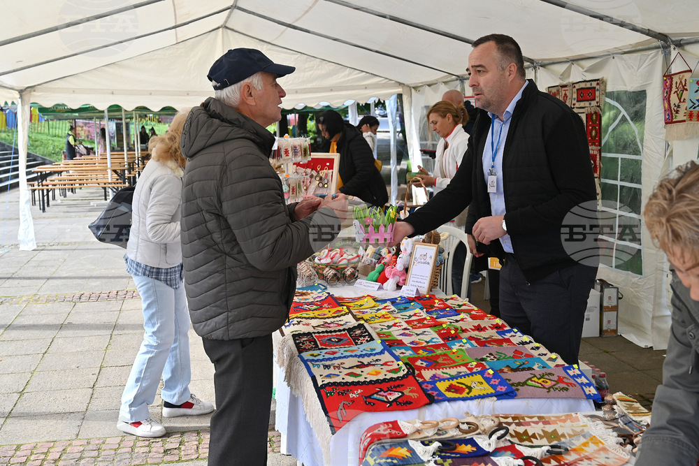 Чипровци - Фестивал на килима