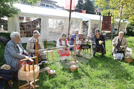 Чипровци - Фестивал на килима