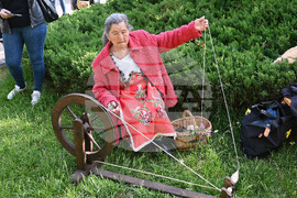 Чипровци - Фестивал на килима