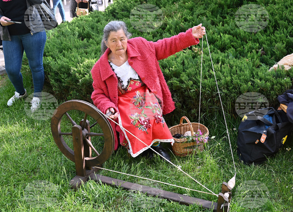 Чипровци - Фестивал на килима