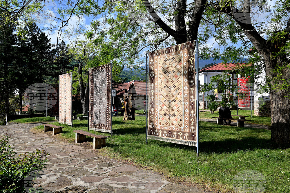 Чипровци - Фестивал на килима