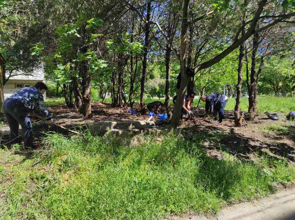 Община Варна: Стотици варненци се включиха в кампанията на Община Варна за почистването на града