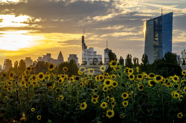 Излишъкът по текущата сметка в еврозоната се увеличава значително, показват данни на ЕЦБ
