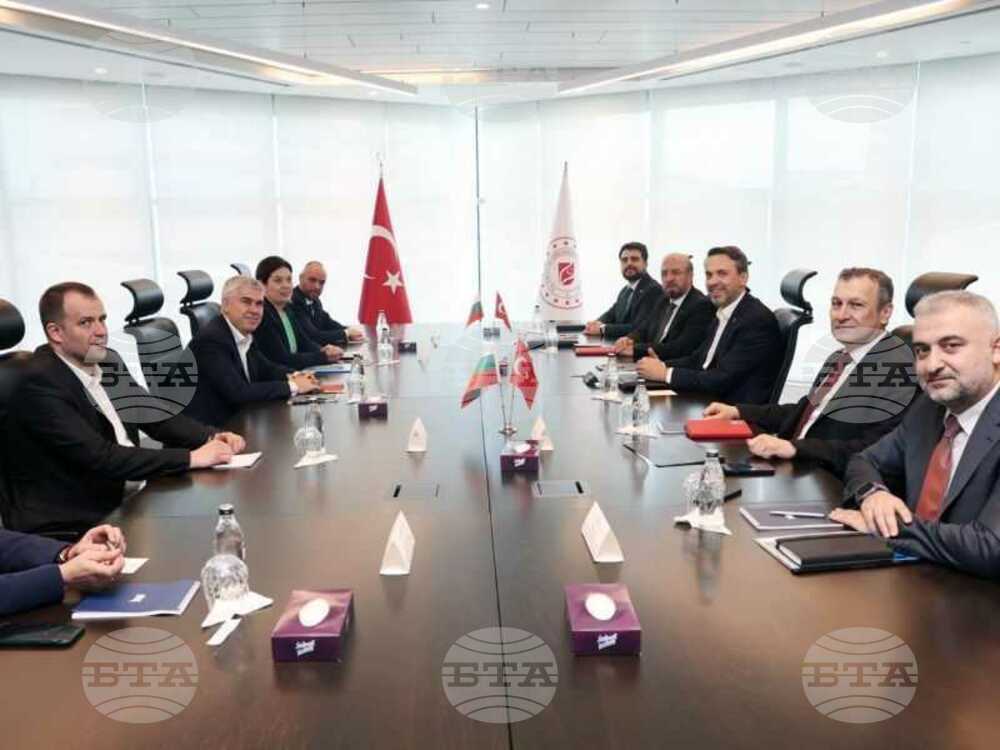 Bulgarian Energy Minister Confers with Turkish Counterpart in Istanbul