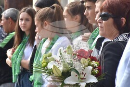 Видин - Ден на Съединението на  България - честване