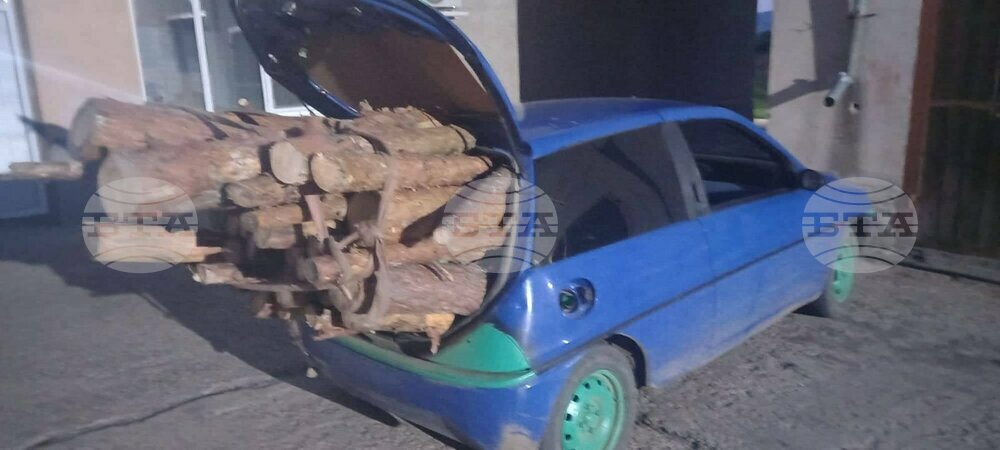 Горски служители от Дупница задържаха автомобил с бракониерски дърва