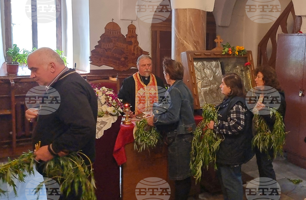 Подготвени са върбовите клонки в храмовете в Добрич за Цветница