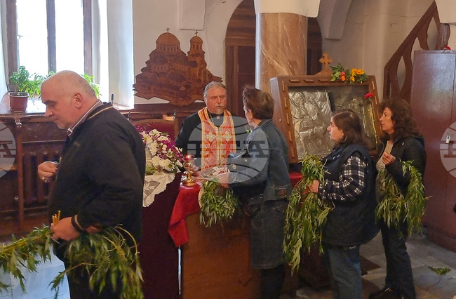 Подготвени са върбовите клонки в храмовете в Добрич за Цветница