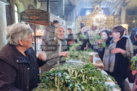 Разград - Цветница