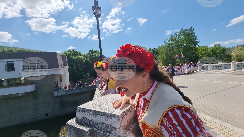 Ловеч - Цветница