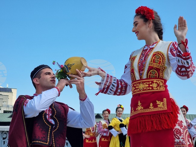 Ловеч - Цветница