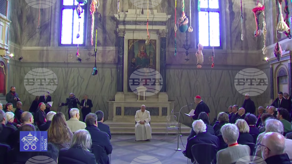 Bulgarian Commissioner for Venice Art Biennale Attends Meeting with Pope Francis