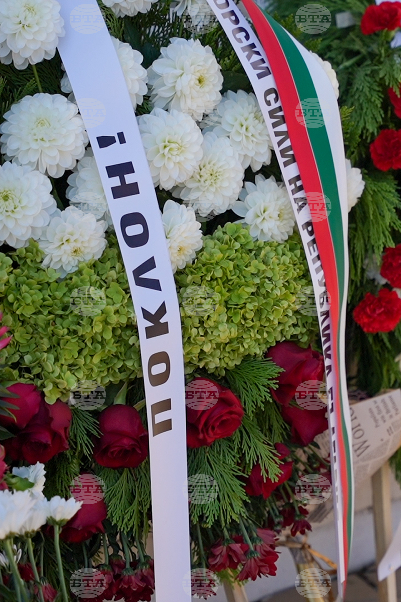 Село Козлодуйци - Мемориал на загиналите от VI пехотна Бдинска дивизия - Добричка епопея – Снимка: Александра Антонова