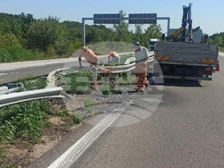 В участъци от автомагистрала „Тракия“ ще се подменят и монтират нови ограничителни системи /мантинели/