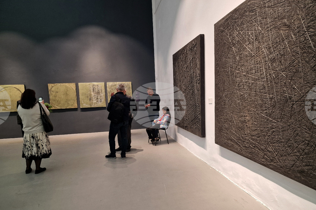 Петър Дочев - изложба