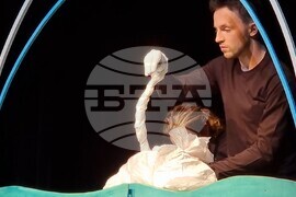 Видин - куклен театър - „Грозното патенце“ - премиера