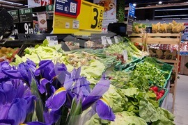 Румъния - магазини в Букурещ