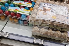 Румъния - магазини в Букурещ