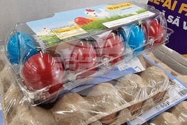 Румъния - магазини в Букурещ