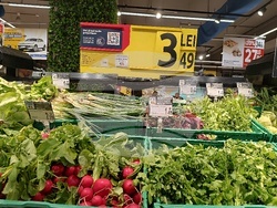 Румъния - магазини в Букурещ