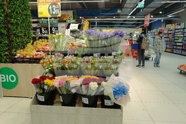 Румъния - магазини в Букурещ