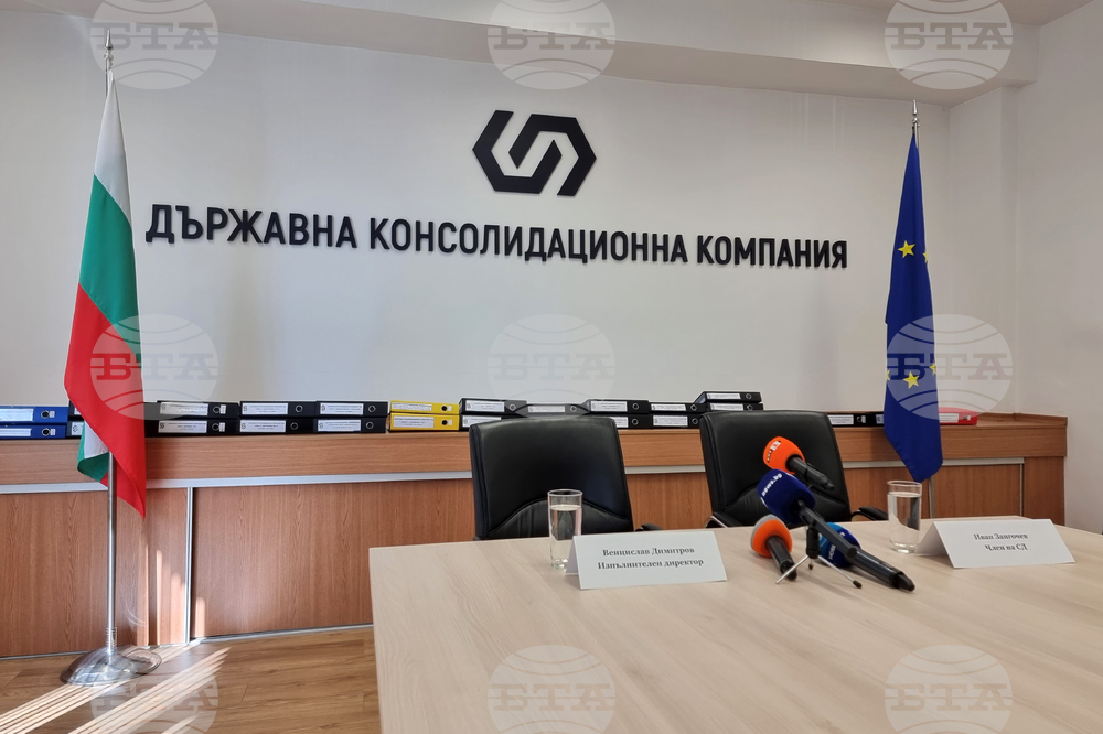 Държана консолидационна компания