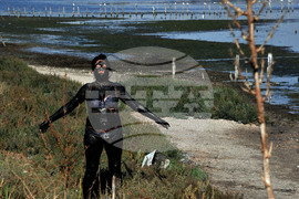 Поморие - Музей на солта - годишнина