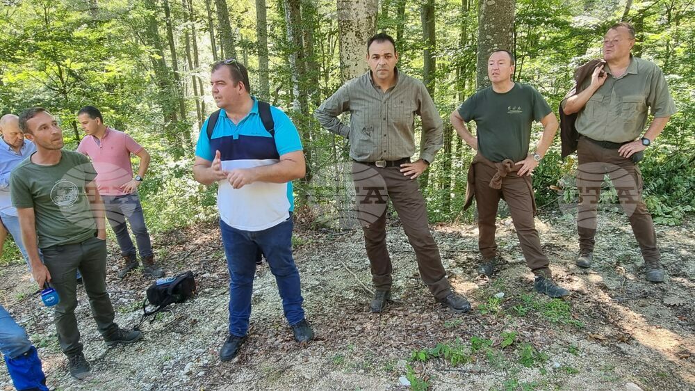 Agriculture Minister Halts Logging Activity near Flooded Villages in Karlovo Municipality