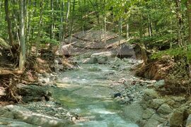 Село Каравелово - сечища - проверка