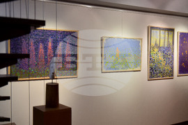 Варна - Мариана Маринова - изложба