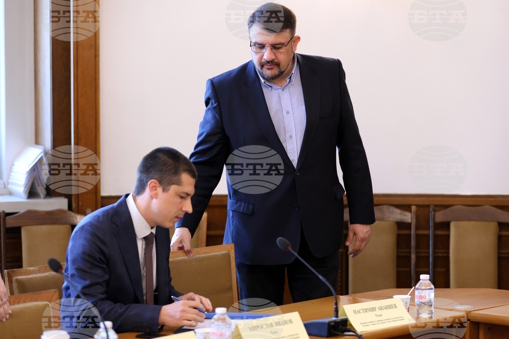 Народно събрание - Временна комисия за Мартин Божанов