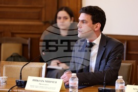 Народно събрание - Временна комисия за Мартин Божанов