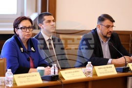 Народно събрание - Временна комисия за Мартин Божанов