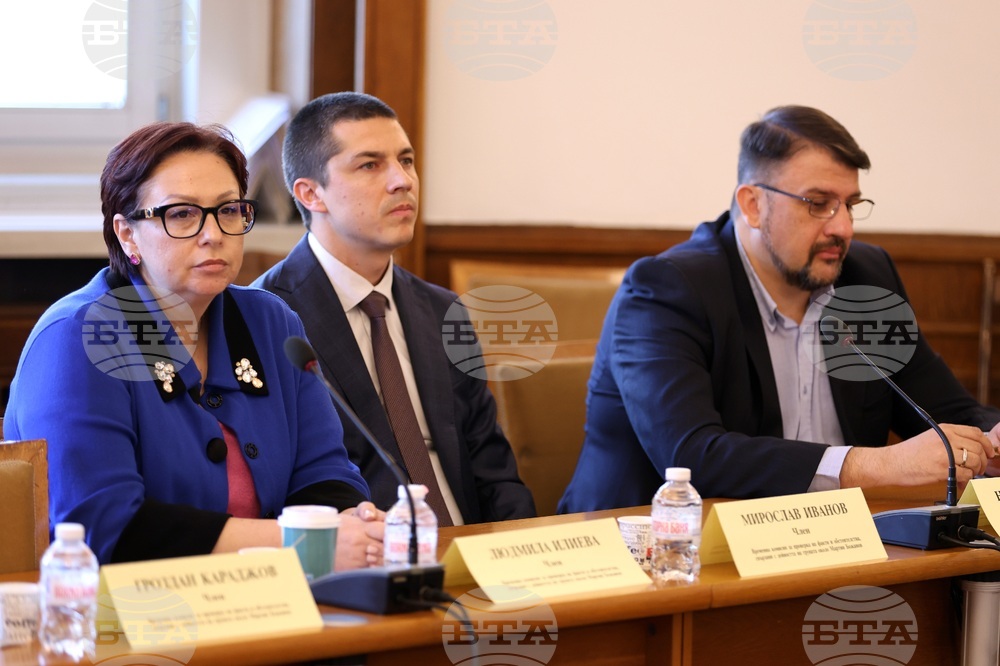 Народно събрание - Временна комисия за Мартин Божанов