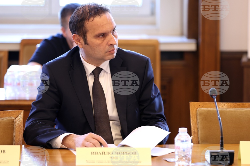 Народно събрание - Временна комисия за Мартин Божанов