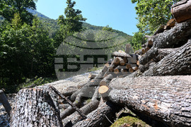 Село Каравелово - сечища - проверка