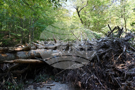 Село Каравелово - сечища - проверка