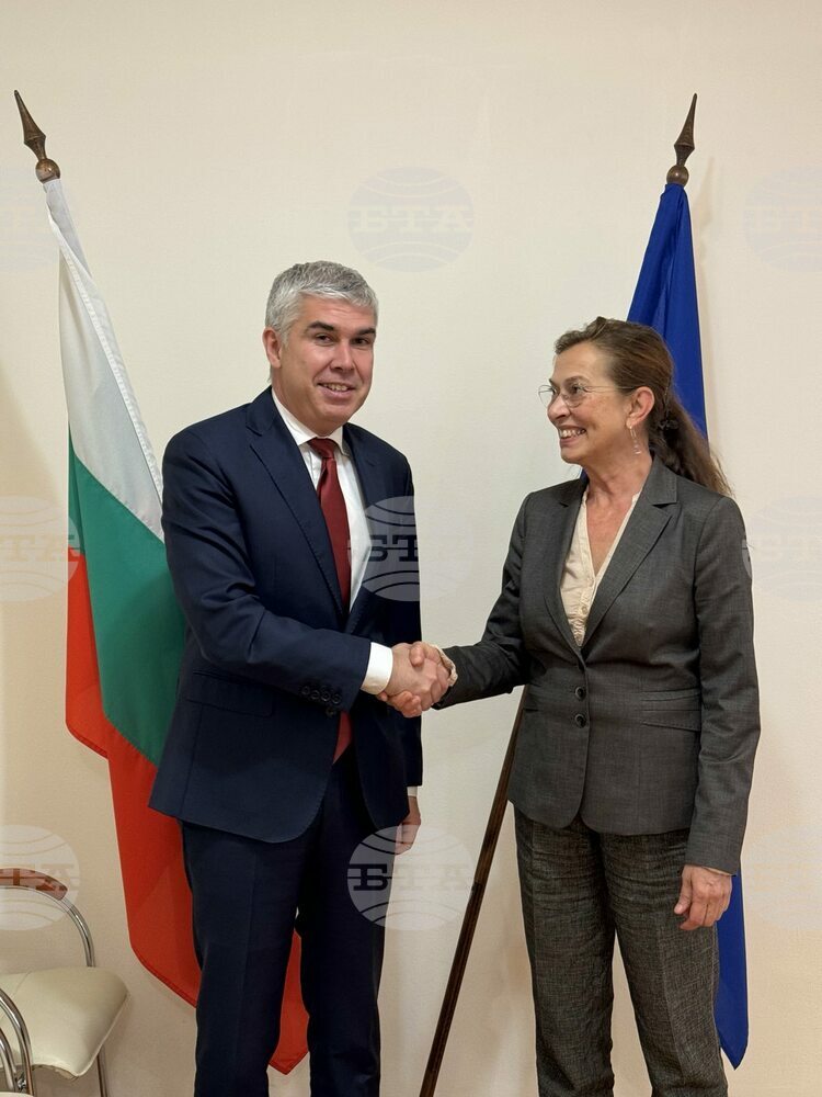 Caretaker Energy Minister Malinov Confers with Ambassadors of Azerbaijan, Germany