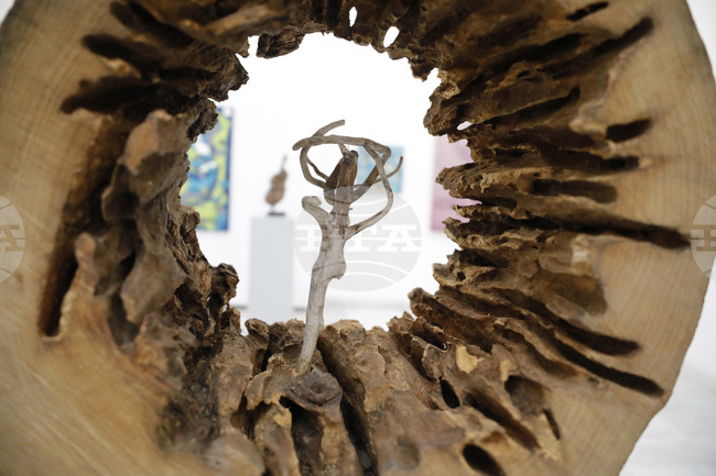 Русе - изложба