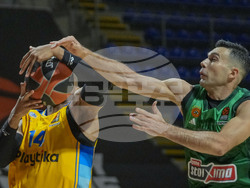 Serbia Basketball Final Four