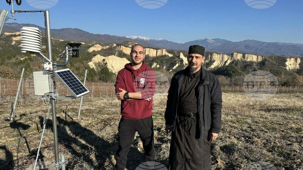 A Software Engineer Offers Vine Growing and Wine Making Solutions