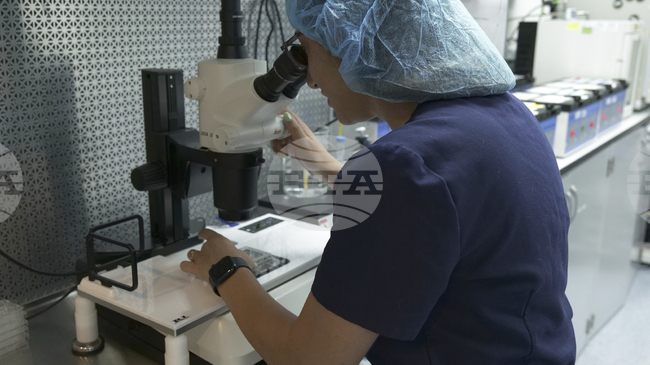 Учени създадоха полимер, подходящ за печат на изкуствени органи