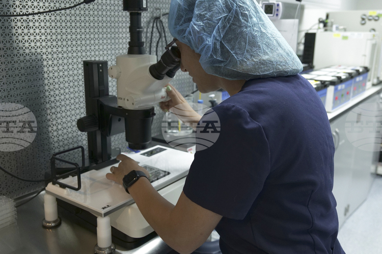 Изследвайки едни от най примитивните многоклетъчни животни на Земята плакозоите