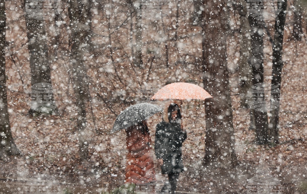 Weather Forecast: April 20