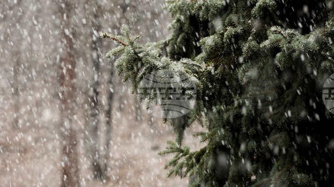 Зимни условия в Хърватия; затворени за камиони са пътищата до крайбрежието и полуостров Истрия