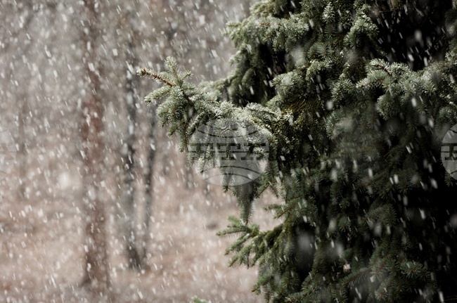 Зимни условия в Хърватия; затворени за камиони са пътищата до крайбрежието и полуостров Истрия