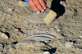 Село Свещари - археологически сезон 2022 - приключване