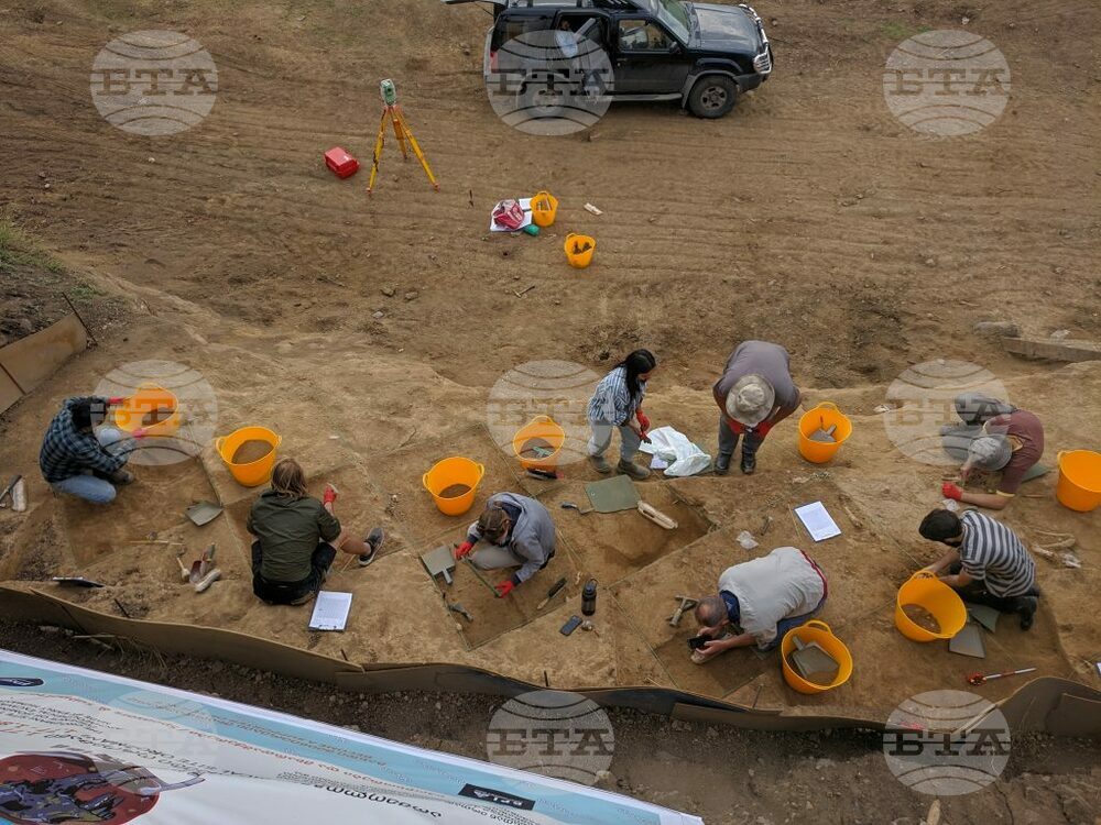 Грузински археолози откриха човешки зъб на 1,8 милиона години