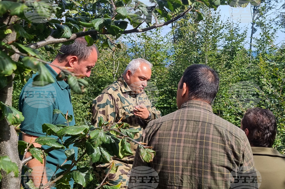 Check Finds Unplanned Tree Felling in Karlovo Area - Interior Minister