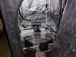 ГДБОП задържа двама мъже за наркотици, оръжие и боеприпаси